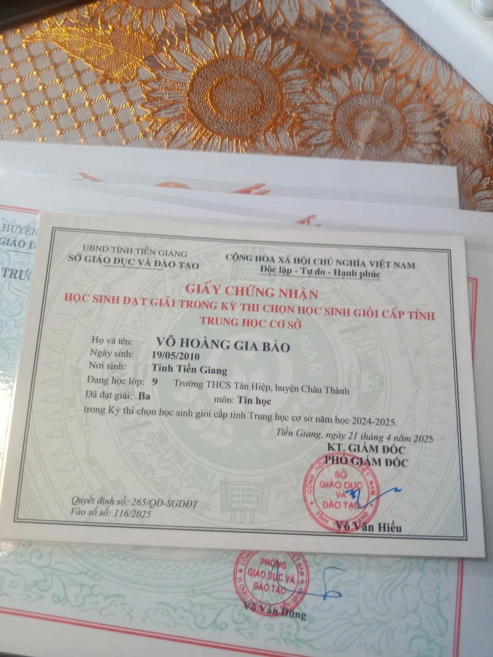 Đạt giải 3 học sinh giỏi tin học cấp tỉnh